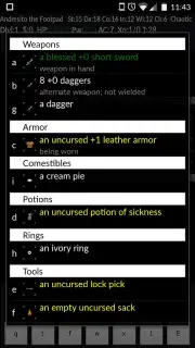 NetHack скриншот 8