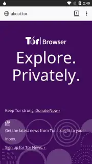 Tor Browser скриншот 18