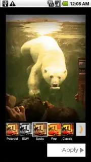Polaroid PoGo App скриншот 4