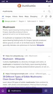 Tor Browser скриншот 5