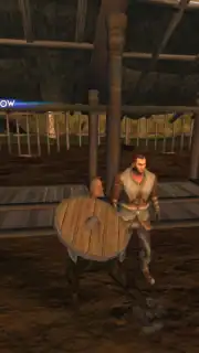 Vikings: Valhalla Saga скриншот 9