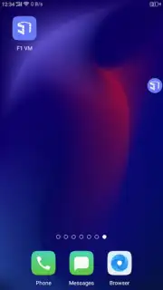 F1 VM скриншот 4