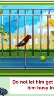 Parrot Pet Shop скриншот 2