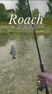 Ultimate Fishing Simulator скриншот 6