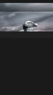 My Movies Free скриншот 12