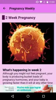 Pregnancy Weekly скриншот 3