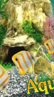 AquaLife 3D скриншот 4