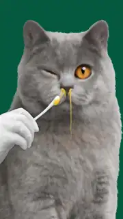 Cat ASMR: Salon Makeover скриншот 2