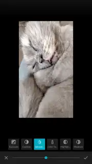 OnePlus Gallery скриншот 5