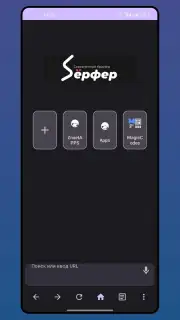 Serfer Browser скриншот 1