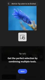 Adobe Photoshop скриншот 4