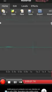 WavePad скриншот 1
