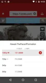 Paris Video Downloader скриншот 6
