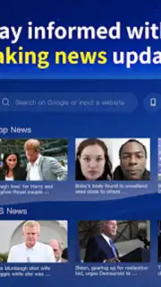 BrowseHere скриншот 2