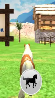 Pony Horse Simulator Kids 3D скриншот 1