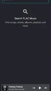 FLAC Music скриншот 1
