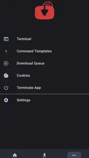 YTDLnis скриншот 21