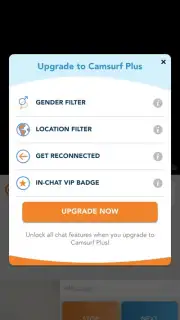 Camsurf скриншот 5