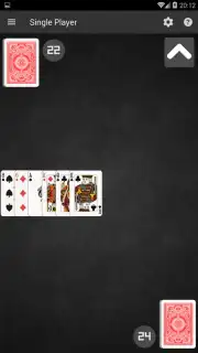Salami Card Game скриншот 3