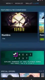 Steam скриншот 2