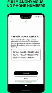 Session скриншот 6