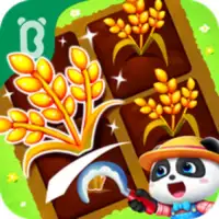 Little Panda's Farm Story
