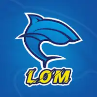 LomVPN
