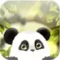 Panda Chub Live Wallpaper Free