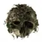 Survive the forest